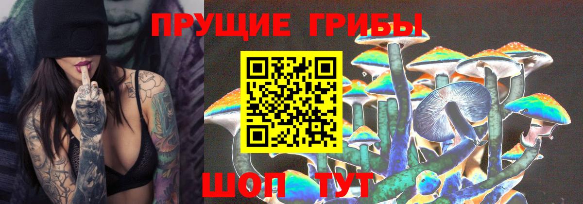 Буйнакск  Псилоцибиновые грибы мухоморы  Вход с VPN  Псилоцибиновые грибы Cubensis 